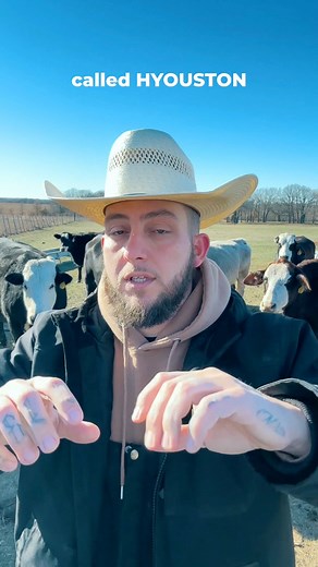 DM me right now and I’ll send you the link to the album! HYOUSTON out now! 💿 | BLAKE FADES