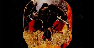 Documentary SEARCHING FOR CANNIBAL HOLOCAUST May Be Hard to Swallow