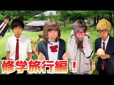 Summary of Hiiragi-san's Crazy School Trip!!! [Hanehane Sketch Collection 12]