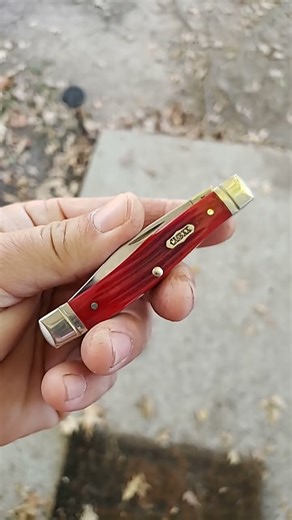 case select red bone jack #caseknives #shortvideo #shorts #short