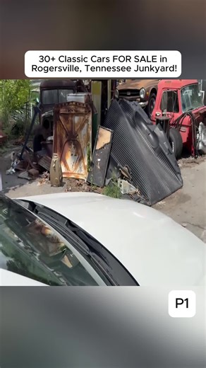 Explore Hidden Junkyard Treasures in Tennessee