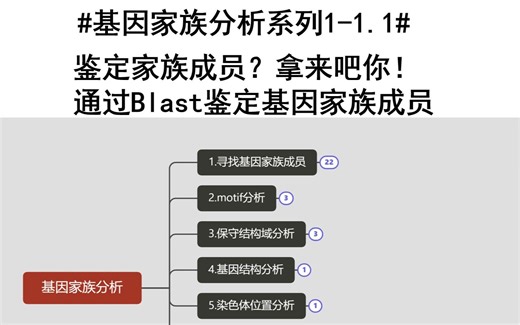 #基因家族分析系列1-1.1#鉴定家族成员？拿来吧你！通过Blast鉴定基因家族成员