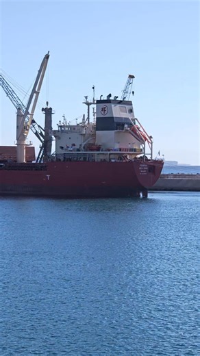 ☀️ Perfect morning at the harbor today! Spotted this impressive cargo vessel docked and just had to capture the moment. There's something about these massive ships that never gets old – the way they dominate the skyline with those towering cranes, the intricate network of rigging and equipment, all painted in that classic maritime red against the brilliant blue water and cloudless sky. These cargo ships are the unsung heroes of global commerce, traveling thousands of miles across the ocean to br