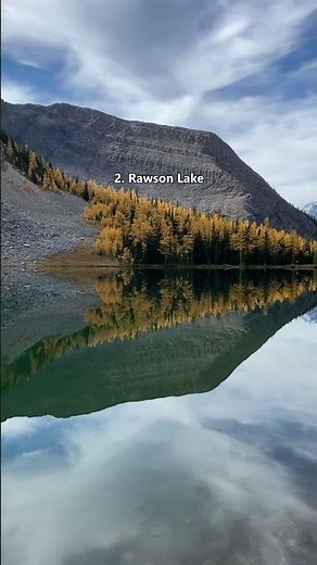 It's Still Summer, But Larch Season Is On Our Mind!