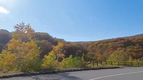 Japan: Autumn Foliage Blooms Across Country After Scorching Summer 3