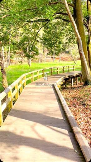 のぞみグルメ|茨城飲食店・茨城発観光 | 茨城の隠れた名所 「七ツ洞公園」 📍〒311-4205 茨城県水戸市下国井町２２４３ 入場料無料で入れる 五つのダムに囲まれた自然豊かな公園🍃 テルマエロマエの撮影に使用された知る人ぞ知る名所 #茨城 #茨城県 #茨城観光 #絶景 #観光スポット #公園 #水戸 | Instagram