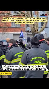 Furet Jaune on Reels