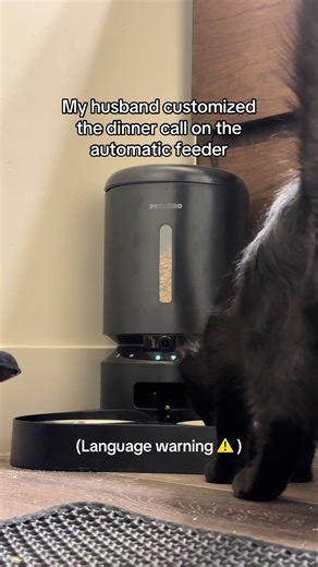 We laugh about it everytime 😂 #funny #kitten #automaticdualcatfeeder #crudehumor