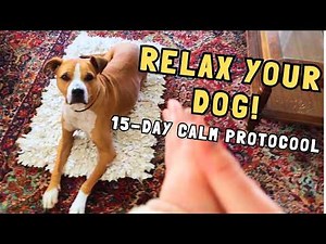The Karen Overall Relaxation Protocol Explained + Step-by-Step Demo