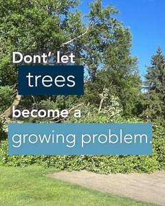 36 reactions · 46 shares | Proactive tree care can reduce the risk of tree-related property damage by up to 90%. Get in the habit now: https://ow.ly/7I5L50TRGxY | The Hanover Insurance Group | Facebook