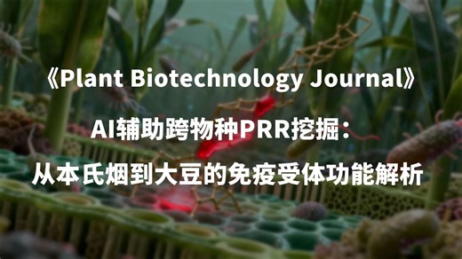 AI在辅助跨物种PRR研究中的最新进展