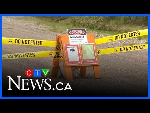 Woman recounts harrowing bear encounter in Kananaskis