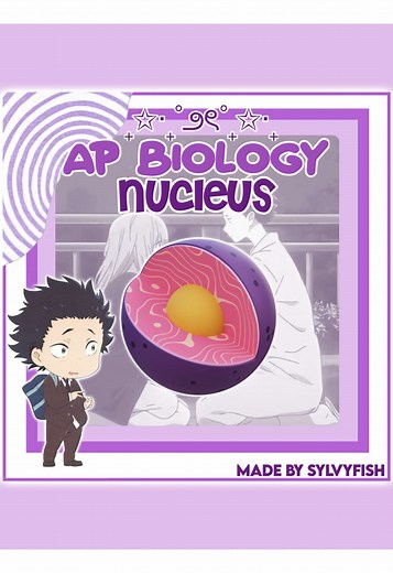 Understanding the Nucleus: An Essential Organelle