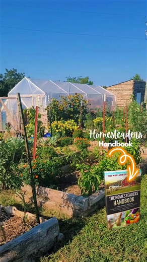 🌿 Discover the Homesteader's Handbook: Your Ultimate Guide to Sustainable Living! 🌱 Dive into a world of self-sufficiency, eco-friendly practices, and the art of homesteading with our comprehensive handbook. From cultivating your own food to mastering DIY projects and embracing off-grid living, this handbook is your roadmap to a simpler, more sustainable lifestyle. Join the homesteading community and unlock the secrets to living closer to nature while nurturing your family and the planet. Get 