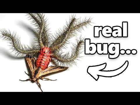 Craziest Animal Moments Caught On Camera...