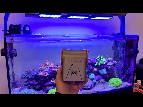 Explored: My Full Neptune Systems Apex Controller Loadout