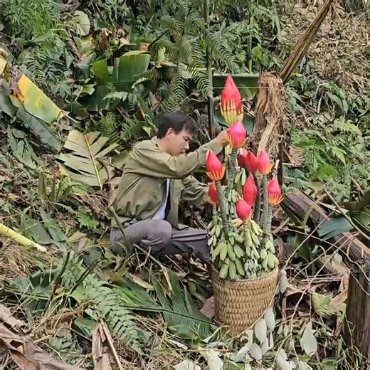 Country life the difficulties and incidents Yen encountered during his trip to the forest | Primitive wilds Life | Facebook