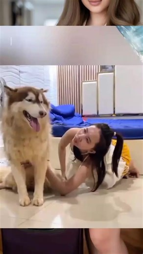 #dogknottinggirl #usa🇺🇸 #dogknotting #knotting #naughtydog