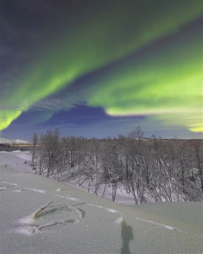 winter wonderland | Aurora Borealis Observatory