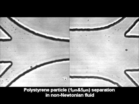 Continuous separation of microparticles in a microfluidic channel via the elasto-inertial effect...