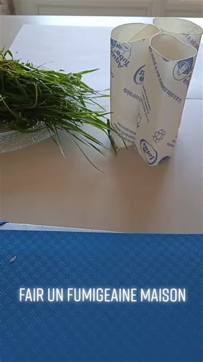 DIY Home Fumigation Using Toilet Paper