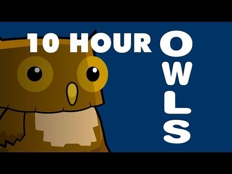 Owls - 10 Hours