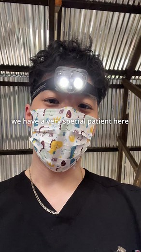 Dental extraction, special patient [Pediatric Dentist] | Dr. John Yoo