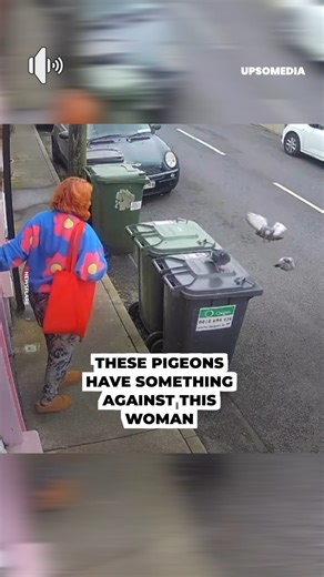The woman froze when she found herself surrounded by them 😲 | The Enigma