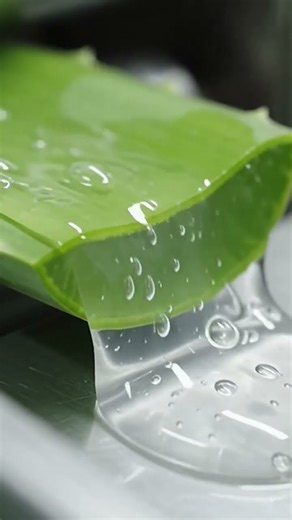 🌿 Aloe Vera Gel Benefits ✨ Natural Skincare Secret for Glowing Skin!