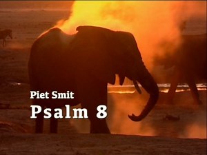 14K views · 813 reactions | Deze week weer iets in het Nederlands. Psalm 8 - Heer. Wat is een mens dat U aan hem denkt. Ere zij God in de hoge ! Ek het pas ook die week se audio dagstukkies op my webblad gelaai : www.pietsmit.com | Piet Smit - Page | Facebook