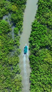 Story of Shah Mehran in a nutshell | Safeer-e-Sindh This special video, created for the Sindh Literature Festival, shares the story of my life, my connection to the environment, culture, and the challenges faced by the sea and its people. But this is just the beginning. My dream is to establish a Mahigeer Lab a space dedicated to research, innovation, and education about the marine ecosystem. Through this lab, I aim to bridge the gap between our fishing community and modern science, fostering su