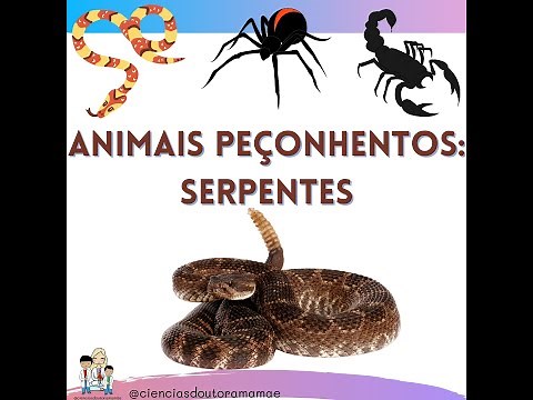 Animais Peçonhentos e Venenosos, qual a diferença?