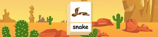Desert Animal flashcards + FREE Desert Animal Poster!
