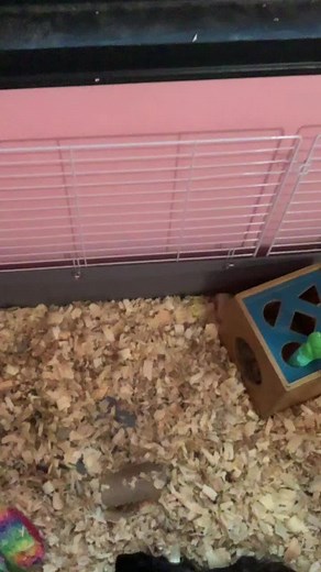 preciouswright91 (@preciouswright91)’s videos with original sound - preciouswright91