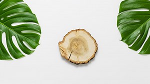 Wooden product podium with monstera leaves top view on white...