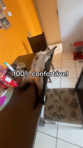 super cute animals 🥰🐾