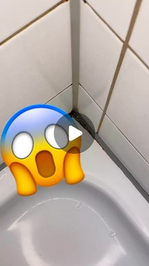 KONSUMHOLIK on Instagram: "Abspeichern✅🔥 Credits: inflation_garden #putzen #sauber #reinigung #haushalt #reinigen #clean #jemako #cleaning #saubermachen #k #sauberkeit #putzenleichtgemacht #jemakoprodukte #putzenmachtspass #simplyclean #jemakoliebe #fr #pflege #reinigungsfirma #haushaltstipps #che #umweltfreundlich #reinigungskraft #m #unterhaltsreinigung #grundreinigung #ordnung #fensterreinigung #jemakocommunity #prowin"