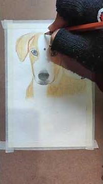 How To Draw Dog #doglover #sketch #howtodraw