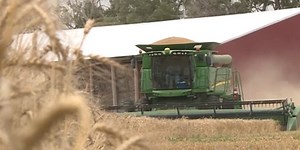 Record breaking: Wheat harvest in Wichita area smashing last year’s production