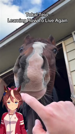 Overcoming Challenges: The True Spirit of Champions