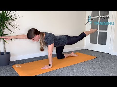 Beginners Abdominal Workout - All Fours