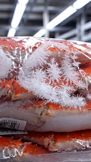 No mistakes allowed. #kingcrab #shorts #asmr