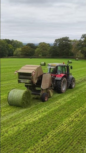 October silage... 🍂😎