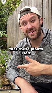 Why I Killed 6 Tomato Plants & If You Should Too (1/3)
