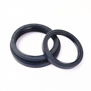 [Hot Item] EPDM High Temperature Tc Rotary Shaft Seals for Engine