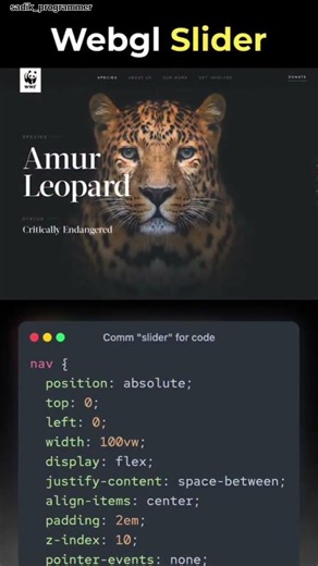 How to create animation Brown Bear using python code#video #viralvideo#views#viral#shorts#shortvideo