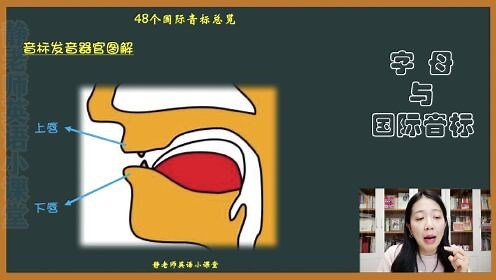 国际音标和自然拼读_第01集48个国际音标总览