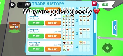 My Heartbreaking Experience with Adopt Me Hacking