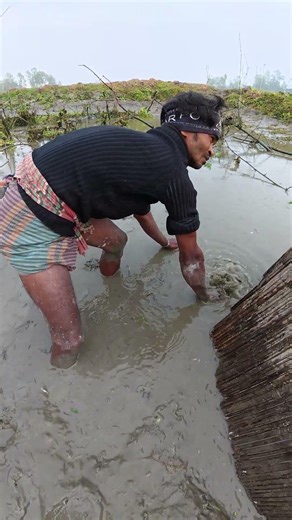 The Ultimate Primitive Mud Fishing Skills! #fishing #handfish #villagelife