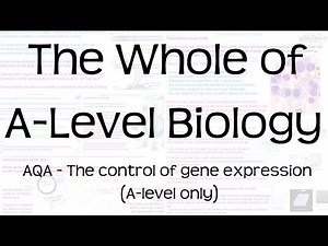 The Whole of AQA A-Level biology | 8 The control of gene expression (A -level only) | Revision